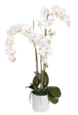 Shishi Krémová orchidea s kvetináčom 90 x 40 cm
