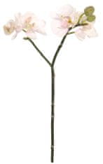 Shishi Ružová orchidea 30 cm