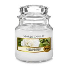 Yankee Candle Sviečka v sklenenej dóze , Kvet kamélie, 104 g