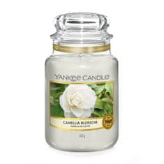 Yankee Candle Sviečka v sklenenej dóze , Kvet kamélie, 623 g