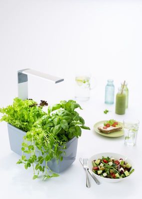 Tregren T6 Kitchen Garden, šikovný kvetináč, automatické zalievanie aj svietenie, ovládanie aplikáciou