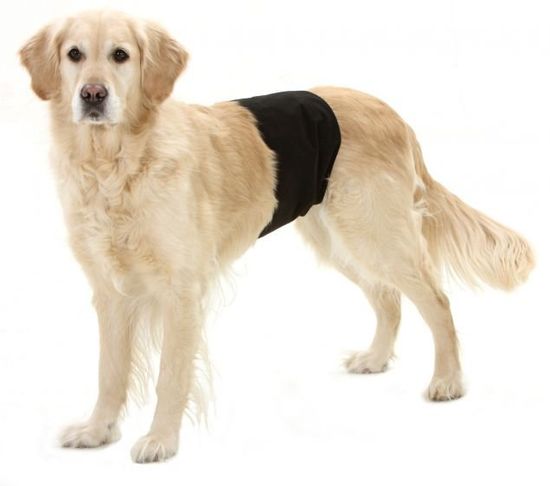 Karlie inkontinenčné nohavice pre psov, čierna