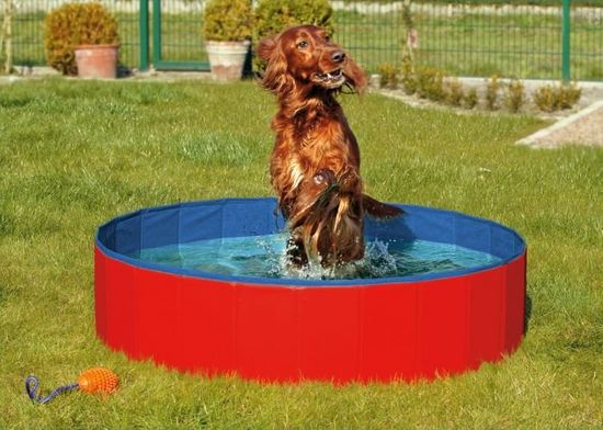 Karlie Skladací bazén pre psov modro/červený 120 x 30 cm