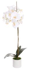 Shishi Pastelovo ružová orchidea s kvetináčom 75 x 30 cm