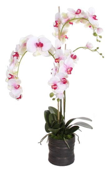 Shishi Fialová-biela orchidea s kvetináčom 90 x 40 cm