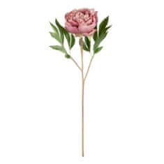 Lene Bjerre Dekoratívne pivonka FLORA ružová, 14 x 17 x 49 cm
