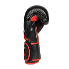 DBX BUSHIDO boxerské rukavice ARB-437 10oz