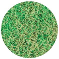 Vidaxl Drsná filtračná podložka Velda pre filter Giant Biofill XL, zelená farba