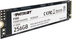 Patriot P300, M.2 - 256GB P300P256GM28