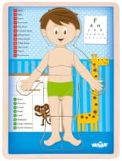 Woody Obojstranné puzzle Ľudské telo chlapec anglicky