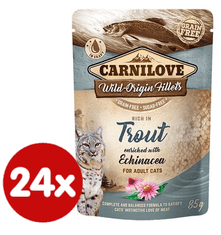 Carnilove Rich in Trout Enriched with Echinacea 24x85 g