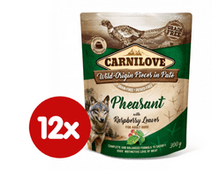 Carnilove Pheasant with Raspberry Leaves 12x300 g