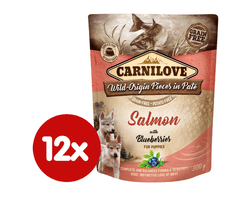 Carnilove Salmon with Blueberries for Puppies 12x300 g