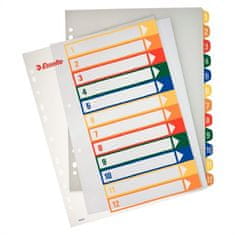 Esselte Registre popisovateľné na počítači, transparentné, plast, A4 Maxi, 1-12 100214