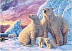 DINO Secret collection: Ľadové medvede 1000 dielikov