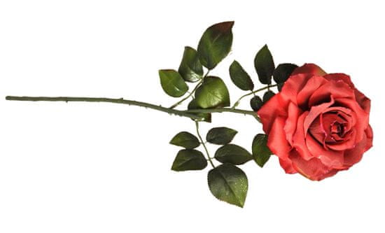 EverGreen Ruža, kvet 13,5 cm, v. 77 cm A