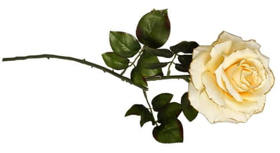 EverGreen Ruža, kvet 13,5 cm, v. 77 cm C