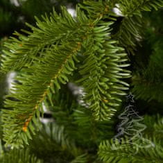 Vianočný stromček Jedľa Kaukazská 180 cm