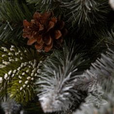 Vianočný stromček Smrek Pyrenejský 250 cm