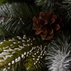 Vianočný stromček Smrek Pyrenejský 220 cm