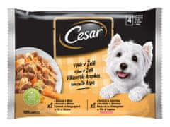 Cesar kapsičky pre dospelých psov výber v želé 52x100 g