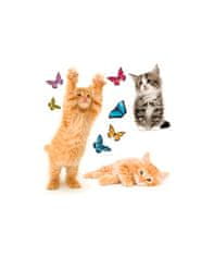 Crearreda WI M Cats 64001 Mačky a motýle