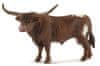 13866 Texasský longhornský býk