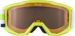 Alpina Sports lyžiarske okuliare Piney, SH, zelené