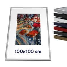 Thalu Kovový rámik 100x100 cm, strieborná