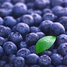 Innova CANVAS blueberry 50x50