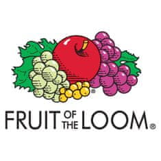 Vidaxl Fruit of the Loom Originálne tričká 10 ks sivé S bavlnené