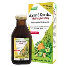 Salus Floradix Vitamín B komplex 250 ml