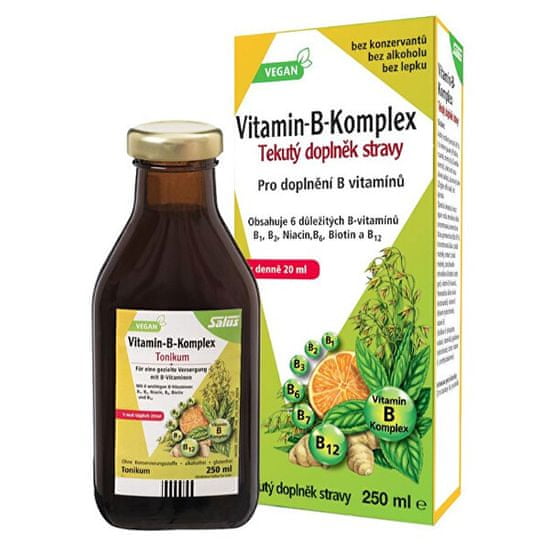 Salus Floradix Vitamín B komplex 250 ml