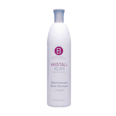 Berrywell Silver šampón Kristal Klar 251 ml