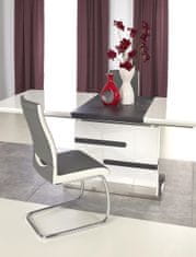 Halmar Rozkladací jedálenský stôl Monaco - biely lesk / sivá