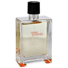 Hermès Terre D Hermes - EDT TESTER 100 ml