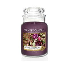 Yankee Candle Aromatická sviečka veľká Moonlit Blossoms 623 g