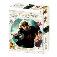 Grooters 3D Puzzle Harry Potter - Ron, 300 ks