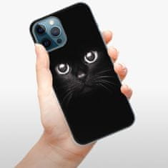 iSaprio Silikónové puzdro - Black Cat pre Apple iPhone 12 Pro Max