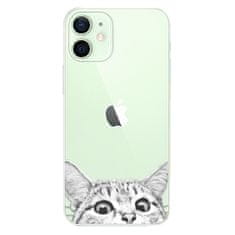 iSaprio Silikónové puzdro - Cat 02 pre Apple iPhone 12 Mini