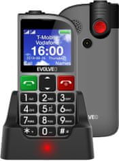Evolveo EasyPhone FM SGM EP-800-FMS, silver