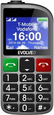 Evolveo EasyPhone FM SGM EP-800-FMS, silver