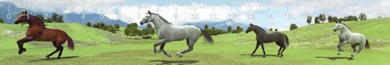 mapcards.net 3D pravítko Galloping horses