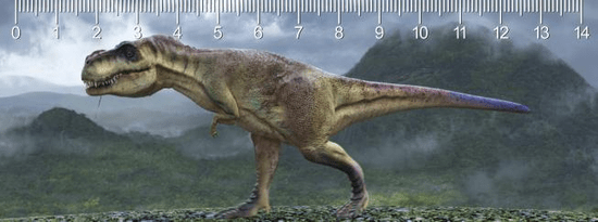 mapcards.net 3D pravítko T-rex walk DEEP