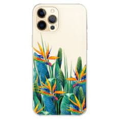 iSaprio Silikónové puzdro - Exotic Flowers pre Apple iPhone 12 Pro