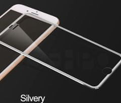 Oem Full-Cover 3D metal tvrdené sklo pre Apple iPhone XS Max - strieborné