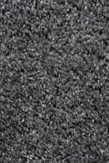 Flair DOPREDAJ: 60x110 cm Kusový koberec Brilliance Sparks Anthracite 60x110
