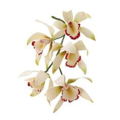 JEM Súprava 8 ks formičiek – stredná orchidea Cymbidium