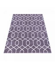 Ayyildiz Kusový koberec Efor 3713 violet 80x150