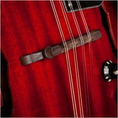 Stagg M50 E, elektroakustická bluegrassová mandolína, redburst